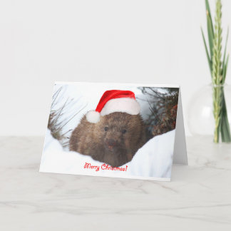 A wombat merry Christmas from Down Under Holiday Card