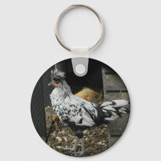 a wonderful design of a beautiful exotic bird keychain