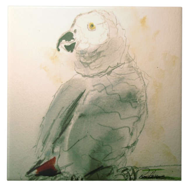A Wonderful Parrot Tile (Front)