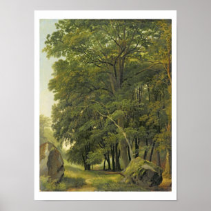 A Wooded Landscape (oil on paper on panel) Poster