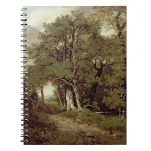 A Wooded Path Notebook