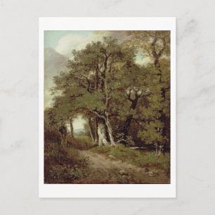 A Wooded Path Postcard
