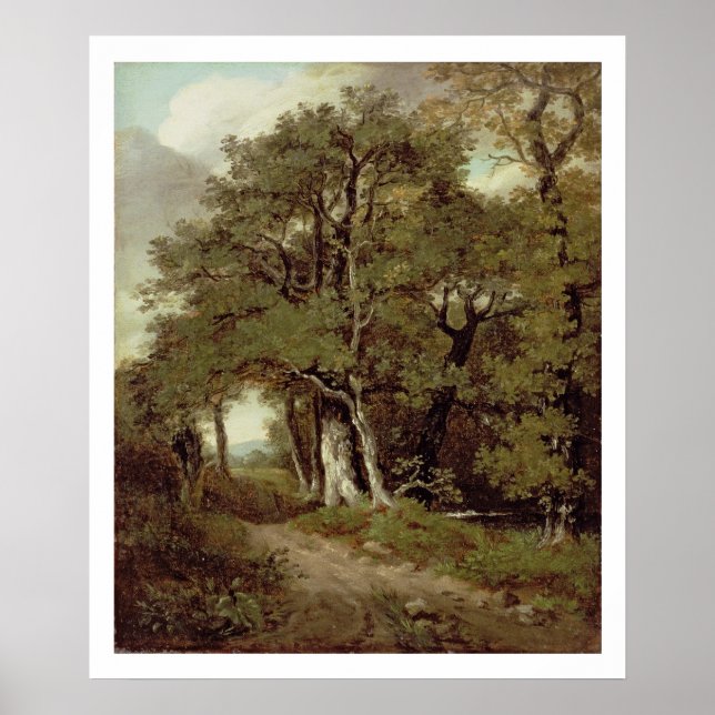 A Wooded Path Poster (Front)