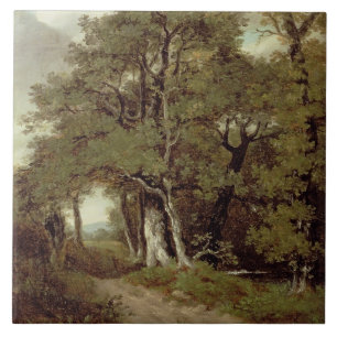 A Wooded Path Tile