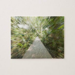 A wooden path through the rainforest in warped jigsaw puzzle