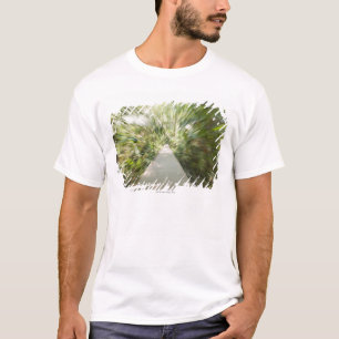 A wooden path through the rainforest in warped T-Shirt