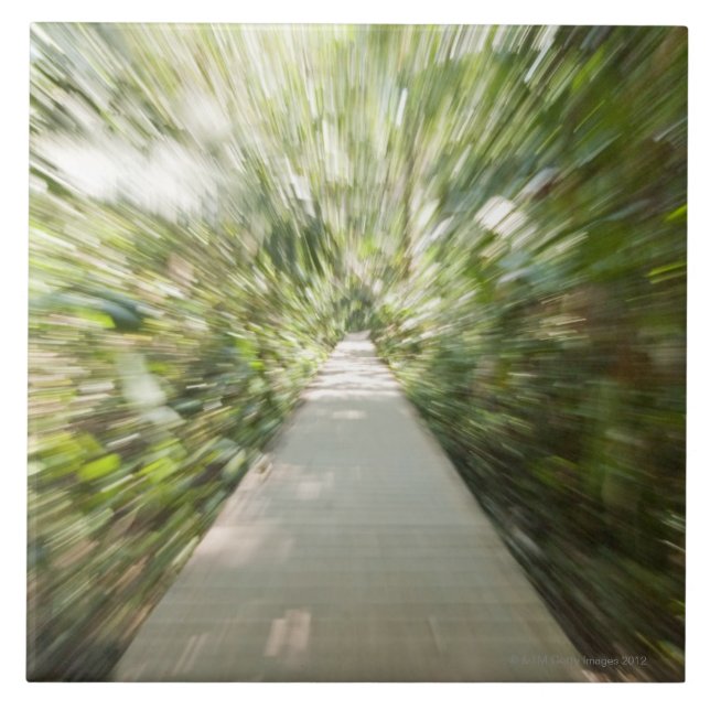 A wooden path through the rainforest in warped tile (Front)