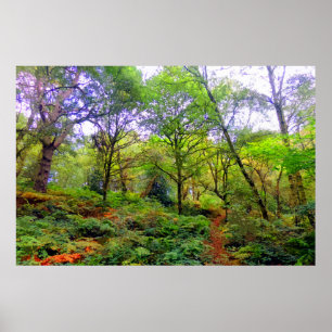 A WOODLAND WALK POSTER