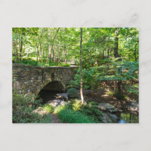 A Woodlands Walkway Bridge Postcard