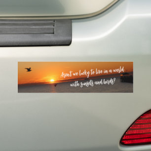 "A World With Sunsets and Birds" Bumper Sticker
