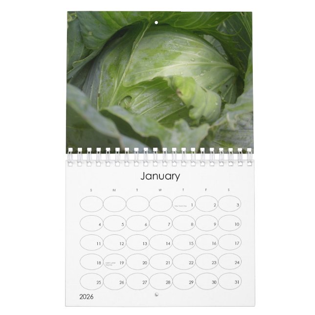 A Year in Fruits, Vegetables and Flowers Calendar (Jan 2026)