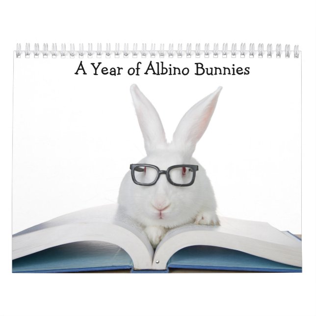 A Year of Albino Bunnies Calendar (Cover)