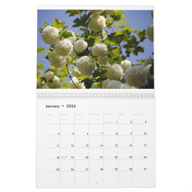 a year of flowers calendar (Jan 2026)