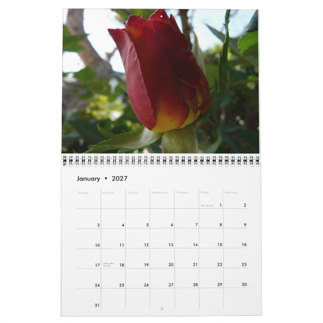 A Year of Flowers Calendar (Jan 2027)