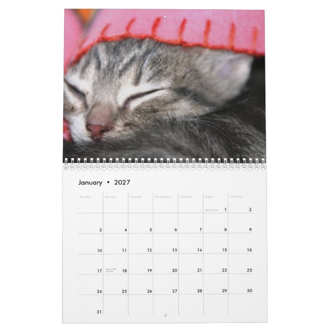 A year of fuzzybutts calendar (Jan 2027)