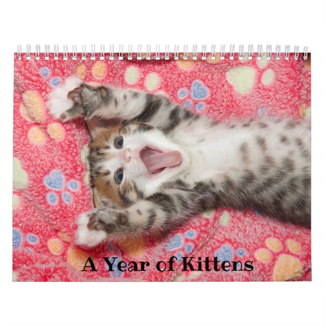A Year of Kittens Calendar (Cover)