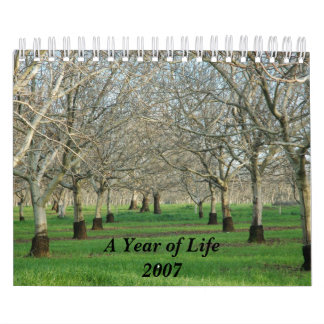 A Year of Life Calender 2007 Calendar