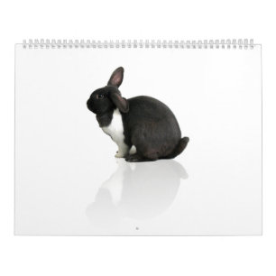 A Year of Rupert Calendar