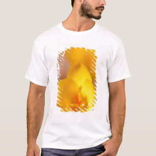 A yellow crocus blooms in Portsmouth, New T-Shirt