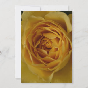 A Yellow Rose 60th Birthday Party Invitation
