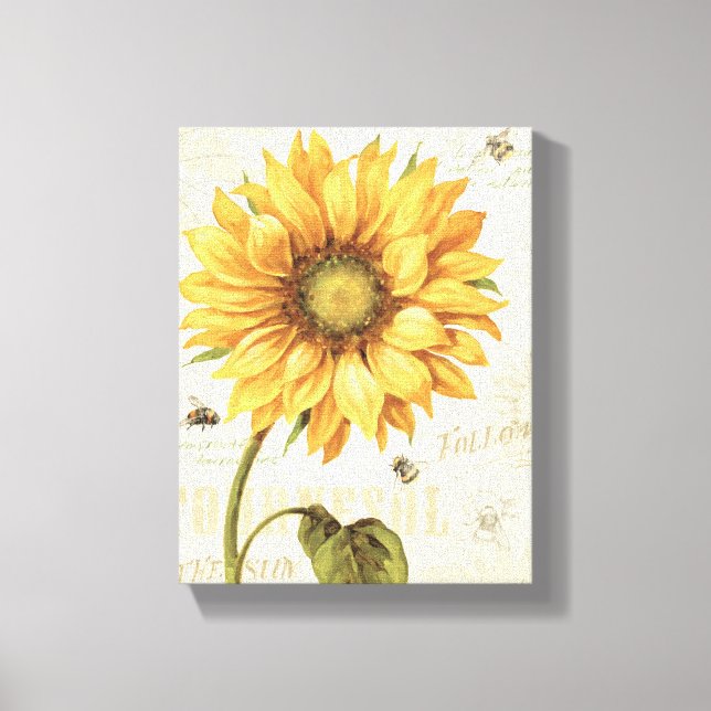 A Yellow Sunflower Canvas Print (Front)