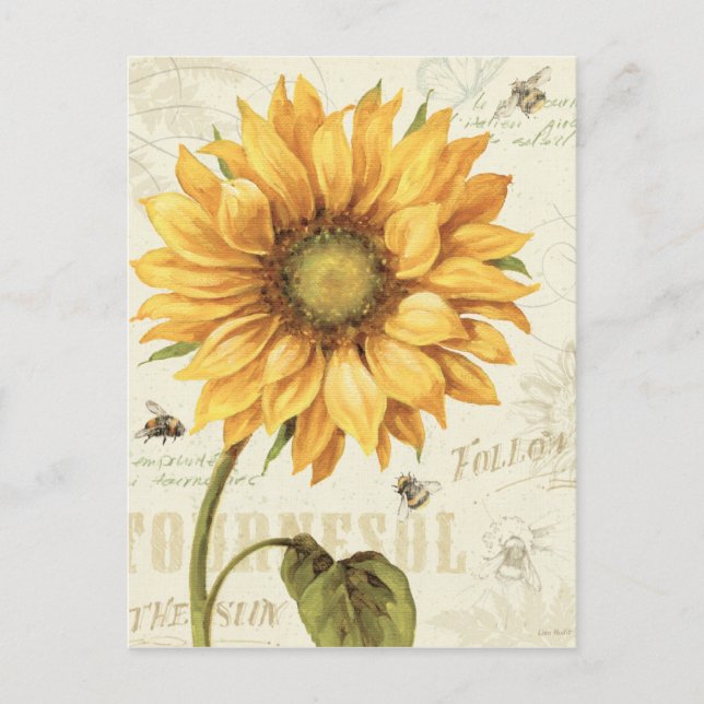 A Yellow Sunflower Postcard (Front)