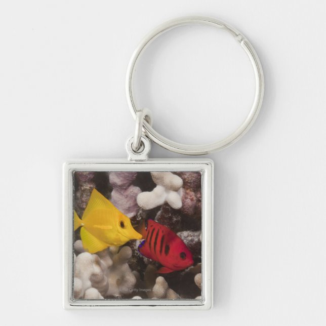 A Yellow Tang Keychain (Front)