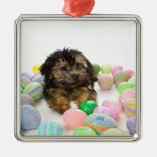 A Yorkie-poo puppy and Easter eggs. Metal Ornament