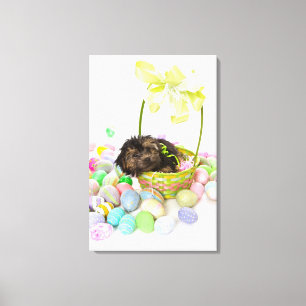 A Yorkie-poo puppy encountering an Easter basket Canvas Print