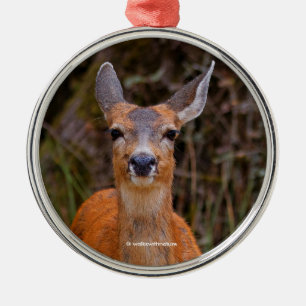 A Young Black-Tailed Deer Smiles Metal Ornament