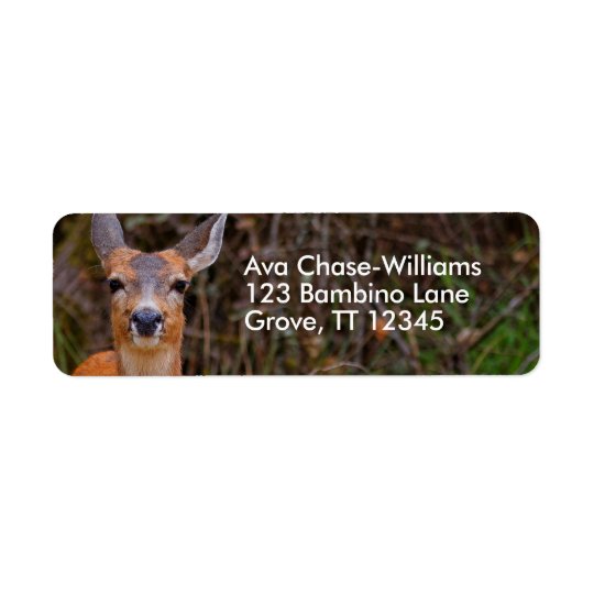 A Young Black-Tailed Deer Smiles Return Address Label