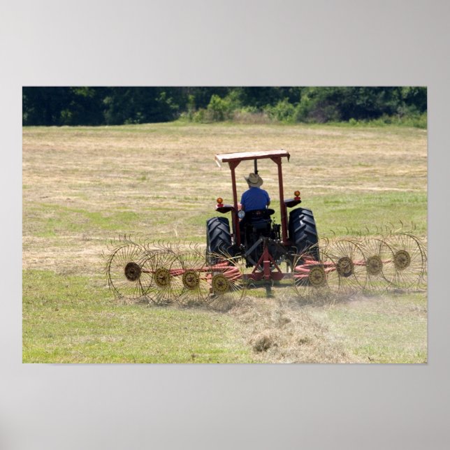 A young boy driving a tractor harvesting poster (Front)