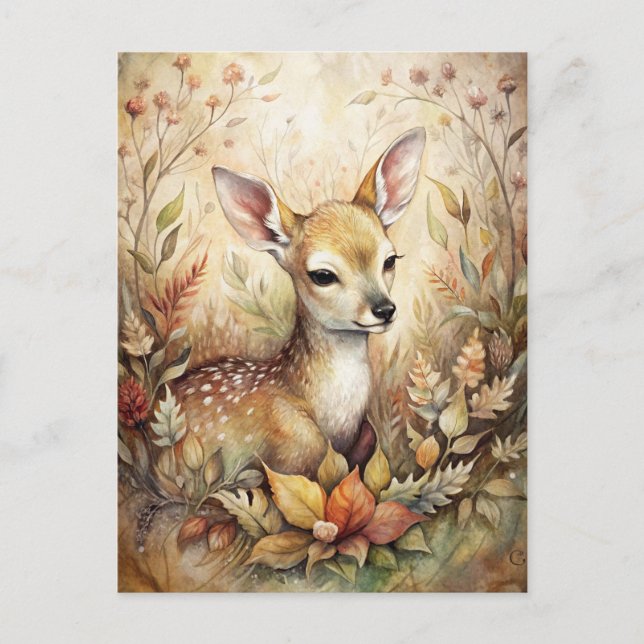 A Young Fawn Postcard (Front)