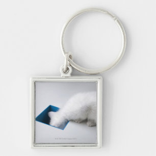 A Young Kitten Stretches His Head Down a Square Keychain