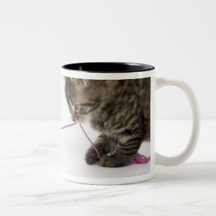 A young tabby kitten playing Two-Tone coffee mug
