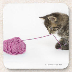 A young tabby kitten playing with a ball of coaster