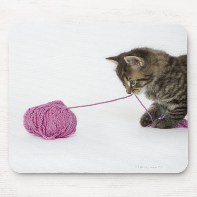 A young tabby kitten playing with a ball of mouse pad (Front)