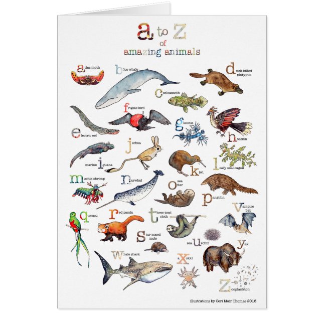 A-Z of amazing animals (Front)