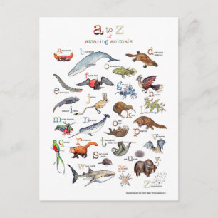 A-Z of amazing animals Postcard