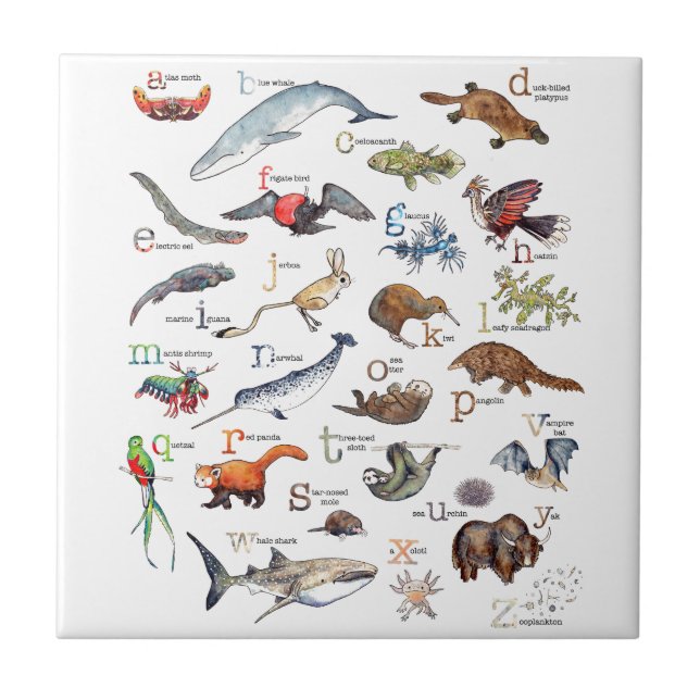 A-Z of amazing animals Tile (Front)