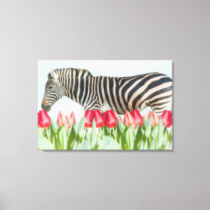 A Zebra Among the Tulips Canvas Print