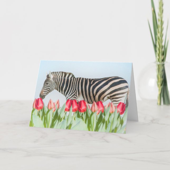 A Zebra Among the Tulips Card (Front)