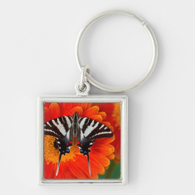 A Zebra Swallowtail Butterfly Keychain (Front)