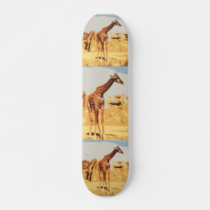 AA- Awesome Giraffe Skateboard