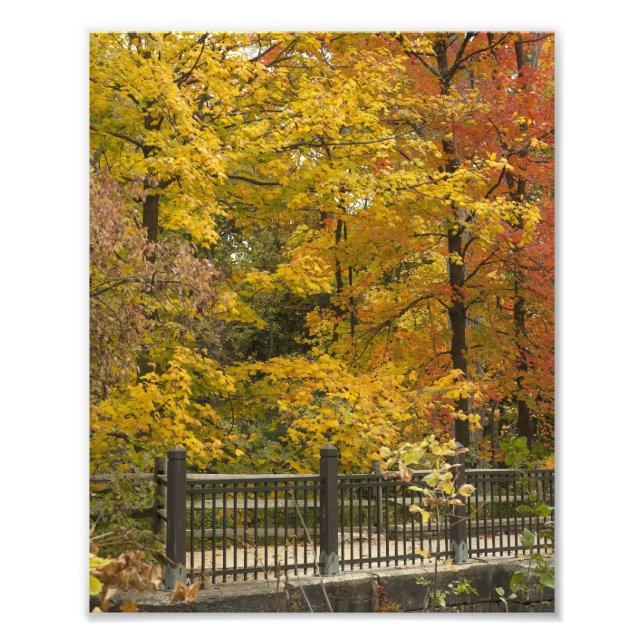 aaa photo print (Front)