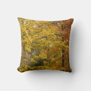 aaa throw pillow