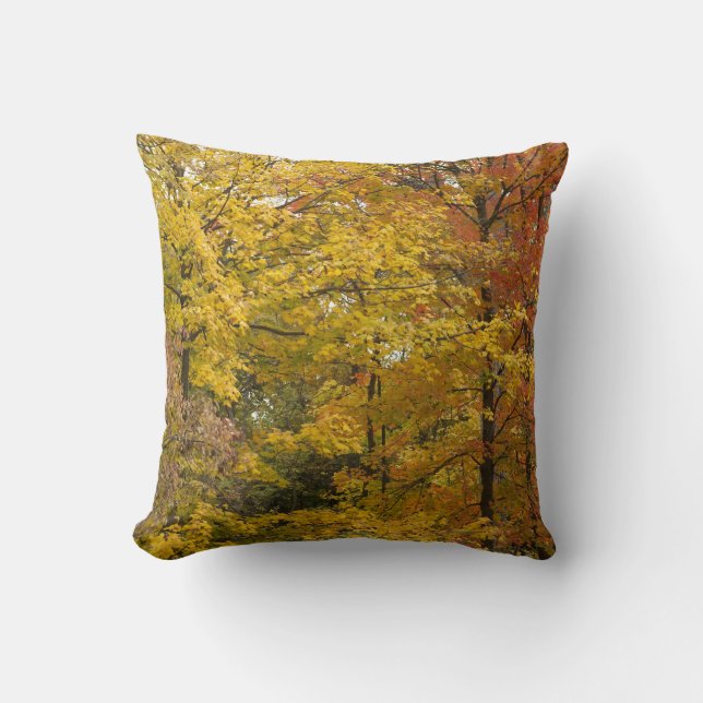 aaa throw pillow (Front)