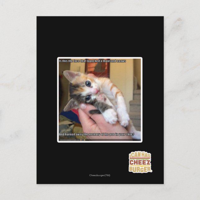 Aaaws Postcard (Front)