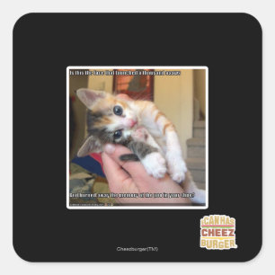 Aaaws Square Sticker