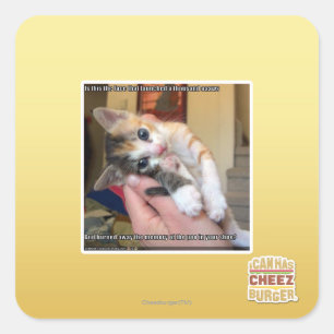 Aaaws Square Sticker